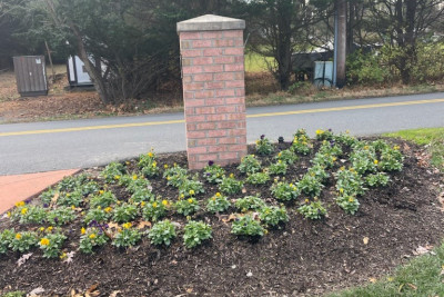 Brick Mail Box Holder On Street Arlington