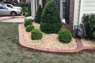 Shrubbery Plants in Area Boarded with River Rock stones Fairfax
