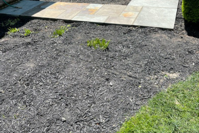 Flagstone Walkway with Black Mulch Landscaping Fairfax VA